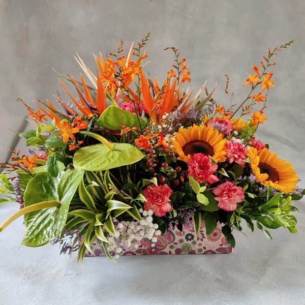 Main Product Image